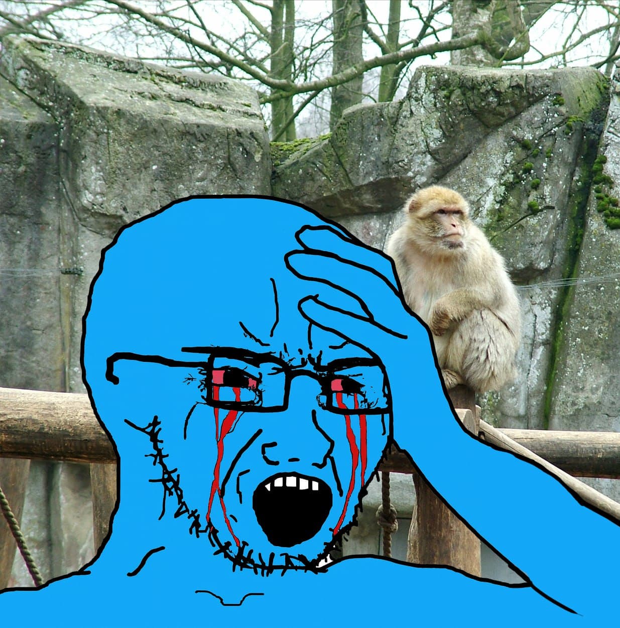 Reddit Rage